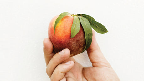 Hand holding a peach