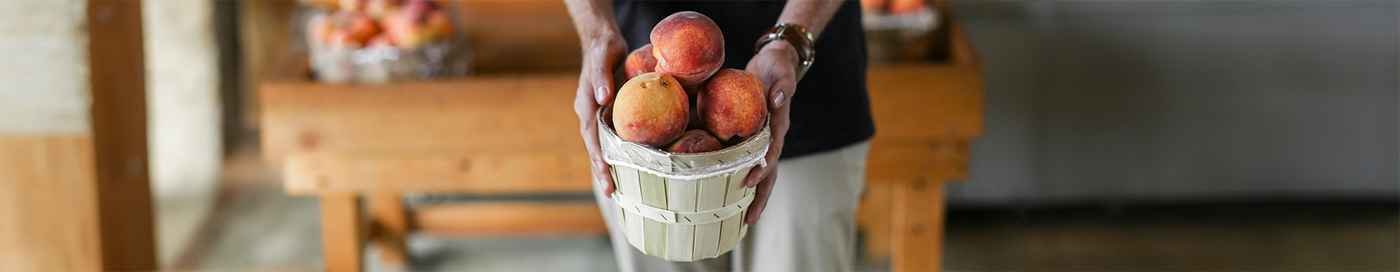 A person holding out a small bucket filled with peaches