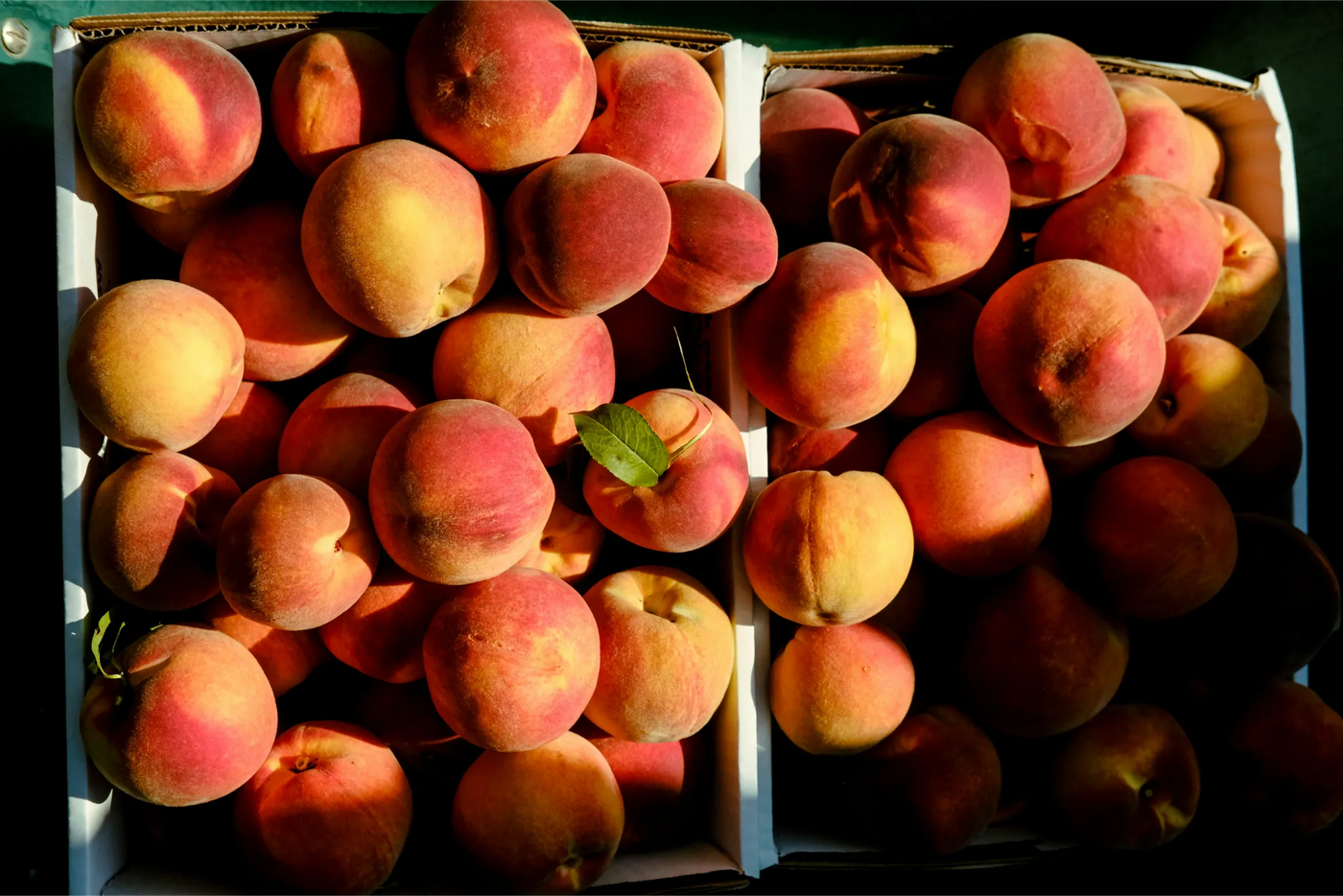 Boxes overflowing with fresh peaches